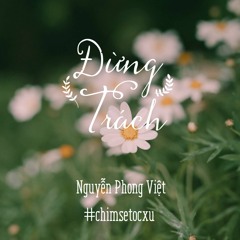 Thơ | Đừng Trách | Nguyễn Phong Việt | Chim Sẻ Tóc Xù