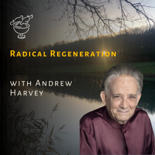 Radical Regeneration with Andrew Harvey