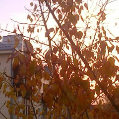 lost my light [clvr]