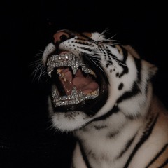 When ur homies cooked🔥