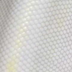 pytonie mój najdroższy (prod. masnyjakob, Sztynksiak)