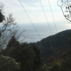 tayutau - たゆたう