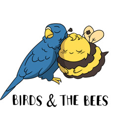 Lofi: Birds and the Bees