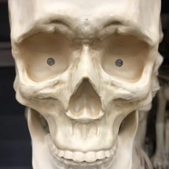 Randyz Universe - In Suck We Trust