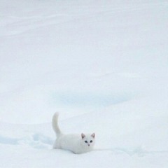 Gloves (prod. sossvault, 229alex1)