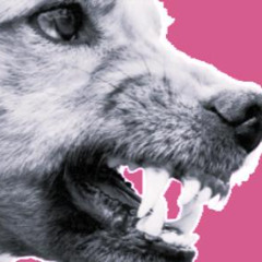 Dogs at Polling Stations