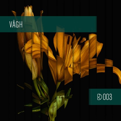 Dynamic Reflection Podcast Series 003: Vågh