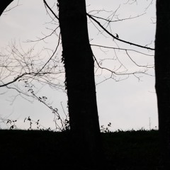 PLACID