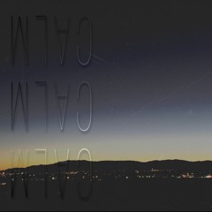 (DEMO)TXNITRUE - The Calm Feat. Tree Wave