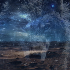 Stoner Millénium - Soul in the wolves