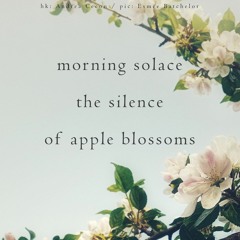 Morning Silence/ Apple Blossoms (naviarhaiku 500)