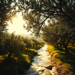 Land of Olive Trees