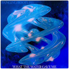 What The Water Gave Me (Banging Bootleg)