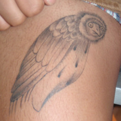 NITEOWL 270DEGREE MIX