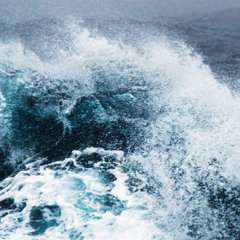 Riding the wave (acid) 2024 LUVEY
