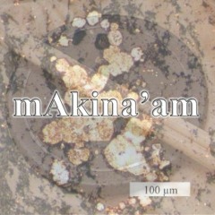 さよなら、ストレイシープ / mAkina'am