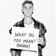 WHAT DO YOU MEAN #ARTISTICMUSICGROUP (deleted)