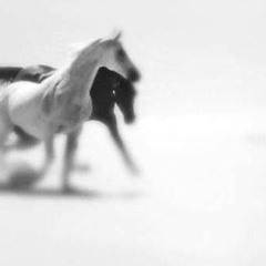 Ramy Gamal - Ghebt Leh | رامي جمال - غبت ليه