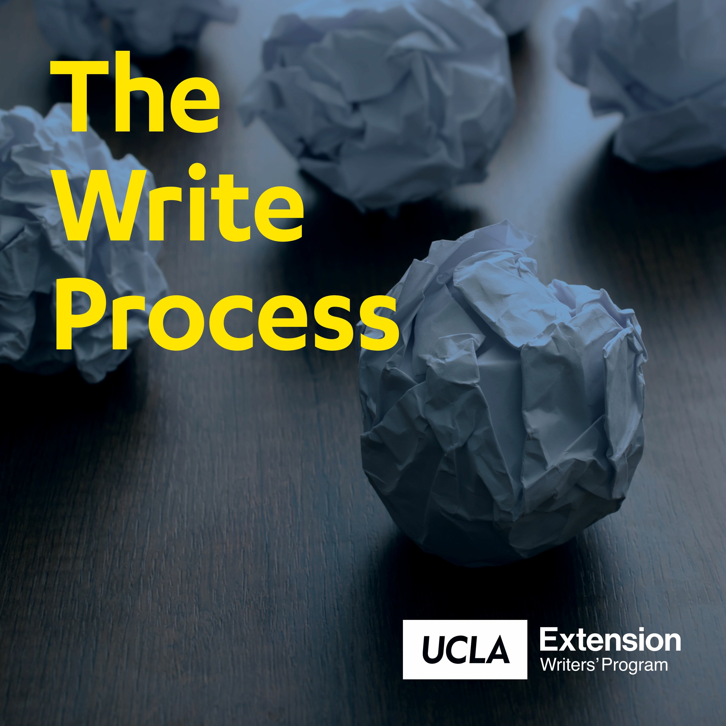 The Write Process