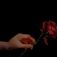 Flowers (CHONK Remix) - Hase