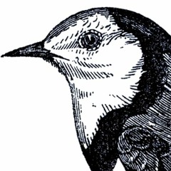 Zweiteiler (t3a$er?!)