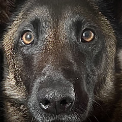 i Wish I Was The Last Of My Kind