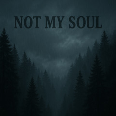 not my soul