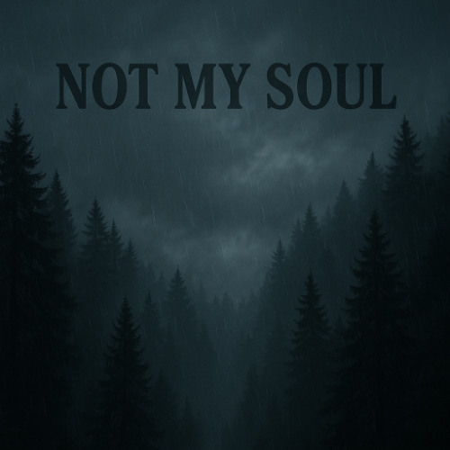 not my soul