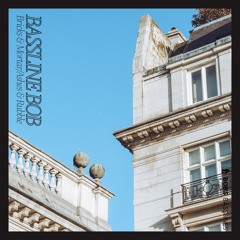 'Bricks & Mortar/Ashes & Rubble' | BASSLINE BOB™