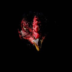 'MEGA GALINHAGEM COM VIROSE 001 [DJ LZ]  (BEATZIN NO FINAL PRA N PRECISAR FURTAR K K K )