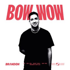 Lil' Bow Wow, Snoop Dogg - Bow Wow (BRANDON Bootleg)