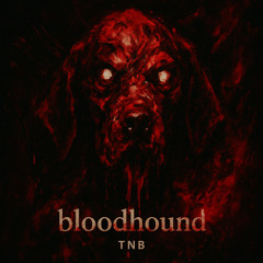 bloodhound
