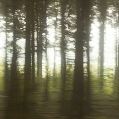 fragil (prod. michaelwarren)