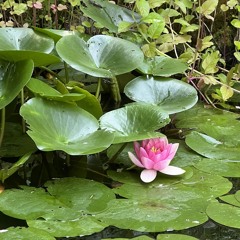 Rob Da Youth & CA$H.GRAB - さゆりSayuri さゆり