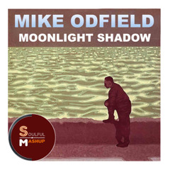 Mike Oldfield - Moonlight Shadow (Soulful Mashup)