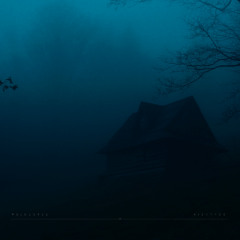 night fog