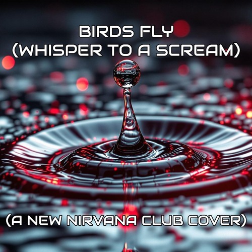 Pulse Meridian - Birds Fly (A New Nirvana Club Cover)