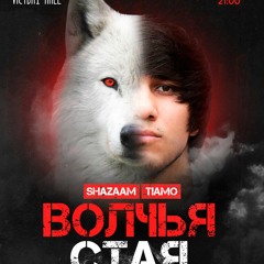 Тимур Алиев - Волчья Стая