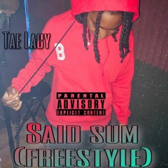Said Sum (Freestyle)