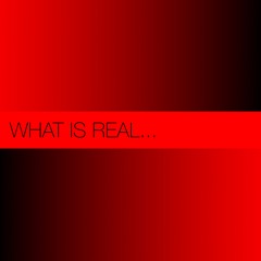 Marek Bois "What Is Real" (Rohling019)