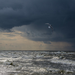 Flukt (Original mix)