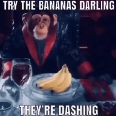 i should not be drinking and whereve you been