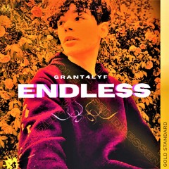 ENDLESS (Feat. XAVR)