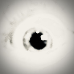 Every Night I Lied Awake