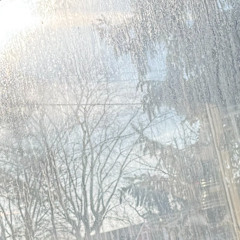 i havent felt a thing since august (prod. moneo)