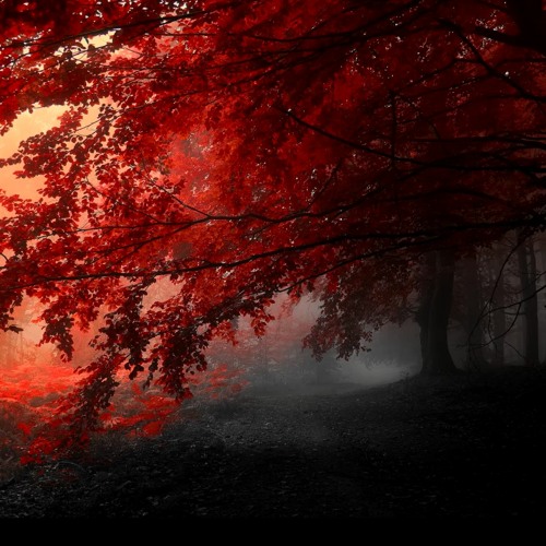 Deep Vocal Liquid Drum And Bass Mix #3