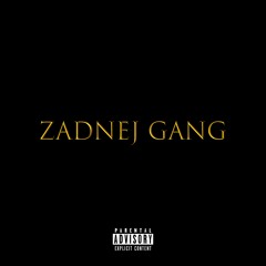 zadnej gang x tossico (prod. by. houmi & ferno)