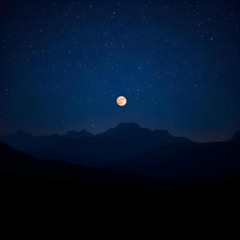 nothing in this place