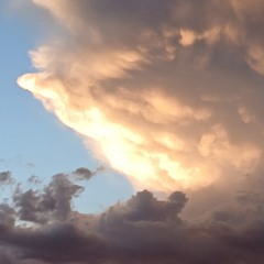 bonny a coo (original version).mp3