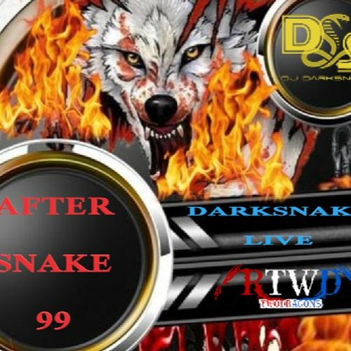 Darksnake Special Live Techno "After Snake 99" Radio TwoDragons 14.8.2022